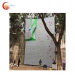 Non Fading Training Outdoor Wall Climbing EN 12572 Flat Climbing Board Wall for sale