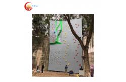 China Non Fading Training Outdoor Wall Climbing EN 12572 Flat Climbing Board Wall supplier