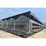 Multi Span Film Vegetables Greenhouse In Hot Climate With Sprinkler Irrigation System for sale
