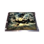 LTM08C341 8.4 inch 800*600 TFT-LCD Screen For Industrial for sale