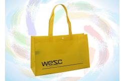 China Custom Printing PP Non Woven Bag for Clothes and Shoes Packaging supplier
