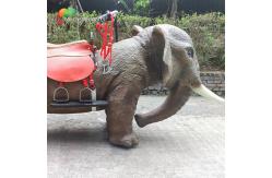 China Car Rideable Animatronic Elephant Equipment For Amusement Park supplier