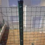 OEM Plastic Coated Galvanized Euro Wire Mesh Fence 10m 25m 30m Length for sale