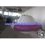 Funny Amusement Park Inflatable Water Games / Inflatable Turntable