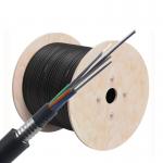 12/24-Core Fiber Optic Cable GYTA53 PE Jacketed Outdoor Stranded Loose Tube Armored Cable for sale