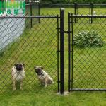Galvanized Steel Wire  Farm Chain Link Fence For Farm And Field for sale