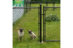 China Black PVC Coating Chain Link Fence Roll 6ft 7ft 8ft supplier