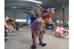 China Wearable Simulation Animatronic Dragon Costume Dinosaur Model supplier