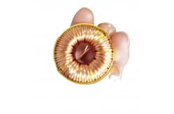 China Toroidal Choke Coil Winding Mother Board Power Choke For PFC supplier