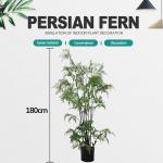 Faux Fern Small Artificial Potted Floor Plants Bonsai 450cm Wind Resistance for sale