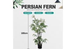 China Plastic Material Artificial Fern Tree Architectural Landscaping supplier