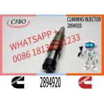 Neutral fuel Injector 5579415 2894920 2872405 for Cum-mins ISX15 QSX15 for sale