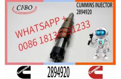 China Neutral fuel Injector 5579415 2894920 2872405 for Cum-mins ISX15 QSX15 supplier