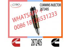 China Fuel Injector Assembly 2872544 2086663 2057401 2872405 203183 Common Rail Injector supplier