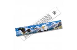 China Lenticular 3D Ruler Flip Customize Ruler Children's Stationery Wholesale supplier