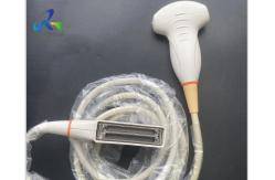 China Hospital C5-2S Ultrasound Transducer Probe For Mindray Replace Crystal And Lens supplier
