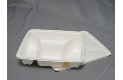 China 4 Compartment Biodegradable Sugarcane Plates supplier