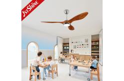 China 3 ABS Blade 52 Inch Plastic Ceiling Fan DCF FS52901 Energy Saving supplier