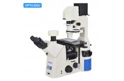 China OPTO EDU A14.1097 SW10x Inverted Biological Microscope SW10x/22mm supplier