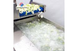 China Customized Potato Fruit And Vegetable Processing Line supplier
