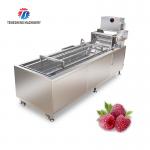 240KG Fruit Bubble High Pressure Spray Washing Machine 1500KG/H Multifunction for sale