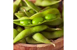 China IQF Peeled Edamame Beans Kernels Frozen Green Soybeans With Pods supplier