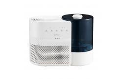 China 2 In 1 Air Purifier Humidifier supplier