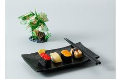 China OEM ODM Plastic Melamine Dinnerware Set For Japanese Restaurant supplier