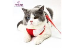 China Pets2Go Mesh Lining 100g Retractable Pet Leash supplier