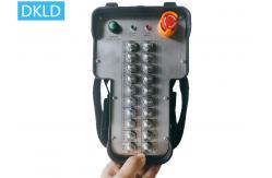 China 20 Way Explosion-Proof Remote Control supplier