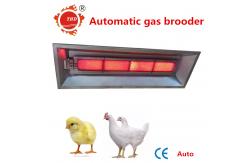 China Poultry NG LPG Natural Gas Heat Lamp For Chicks THD6808 Auto Ignition supplier