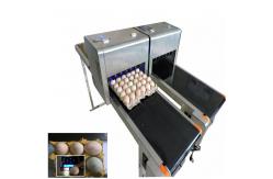 China Date Coder Number Egg Inkjet Printer With Six Sprinkler / 45ml Ink supplier