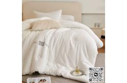 China Cotton Winter Quilt Double Thick Spring And Autumn Quilt supplier