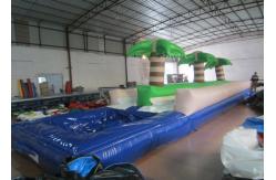 China Palm trees slope inflatable water slide 2017 China inflatable water slide with pool supplier