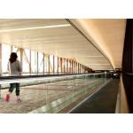 Low Noise Moving Walk Escalator , Automatic Walkway For Large Passenger Flow for sale