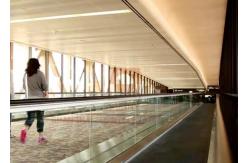 China Low Noise Moving Walk Escalator , Automatic Walkway For Large Passenger Flow supplier