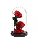 Oak Base D20 X H23cm Borosilicate Clear Glass Dome Cloche for sale