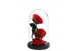 China Oak Base D20 X H23cm Borosilicate Clear Glass Dome Cloche supplier
