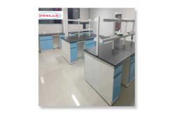 China Storage Function Chemistry Lab Furniture Customizable and Export Plywood Packaging supplier