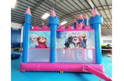 China Slide Inflatable Bounce House Combos Frozen Jumping Bouncy Castle supplier