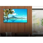 Wall Mounted Transparent OLED Screen  / 1.3 Inch OLED Display for sale