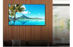 China Wall Mounted Transparent OLED Screen  / 1.3 Inch OLED Display supplier