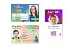 China High Efficiency Single Side Evolis Primacy 2 Plastic PVC Smart ID Card Printer supplier