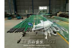 China H2S Resistant Structure Subsurface Suker Rod Pump chrome plated supplier