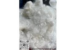 China Textiles Poly Staple Fabric high tensile Polypropylene Staple Fiber supplier