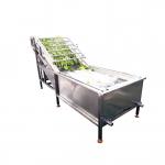SUS304 Automatic Fruit Processing Equipment Blueberry Washing Machine for sale