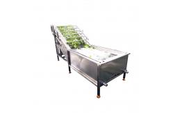 China 220V Bubble Tomato Washing Machine For Vegetable Fruit Processing supplier