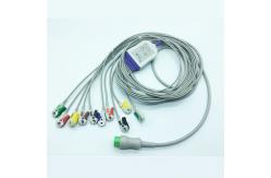 China Round 12 Pin IEC Snap Connector Mindray EKG Cables supplier