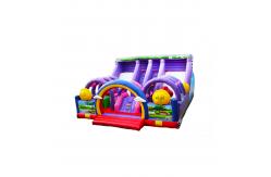 China Customize Large Two Lane Slides Purple Inflatable Bouncer Slide supplier