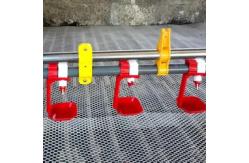China Customizable Poultry Feeder Drinker for Chick Feeding supplier